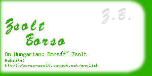 zsolt borso business card